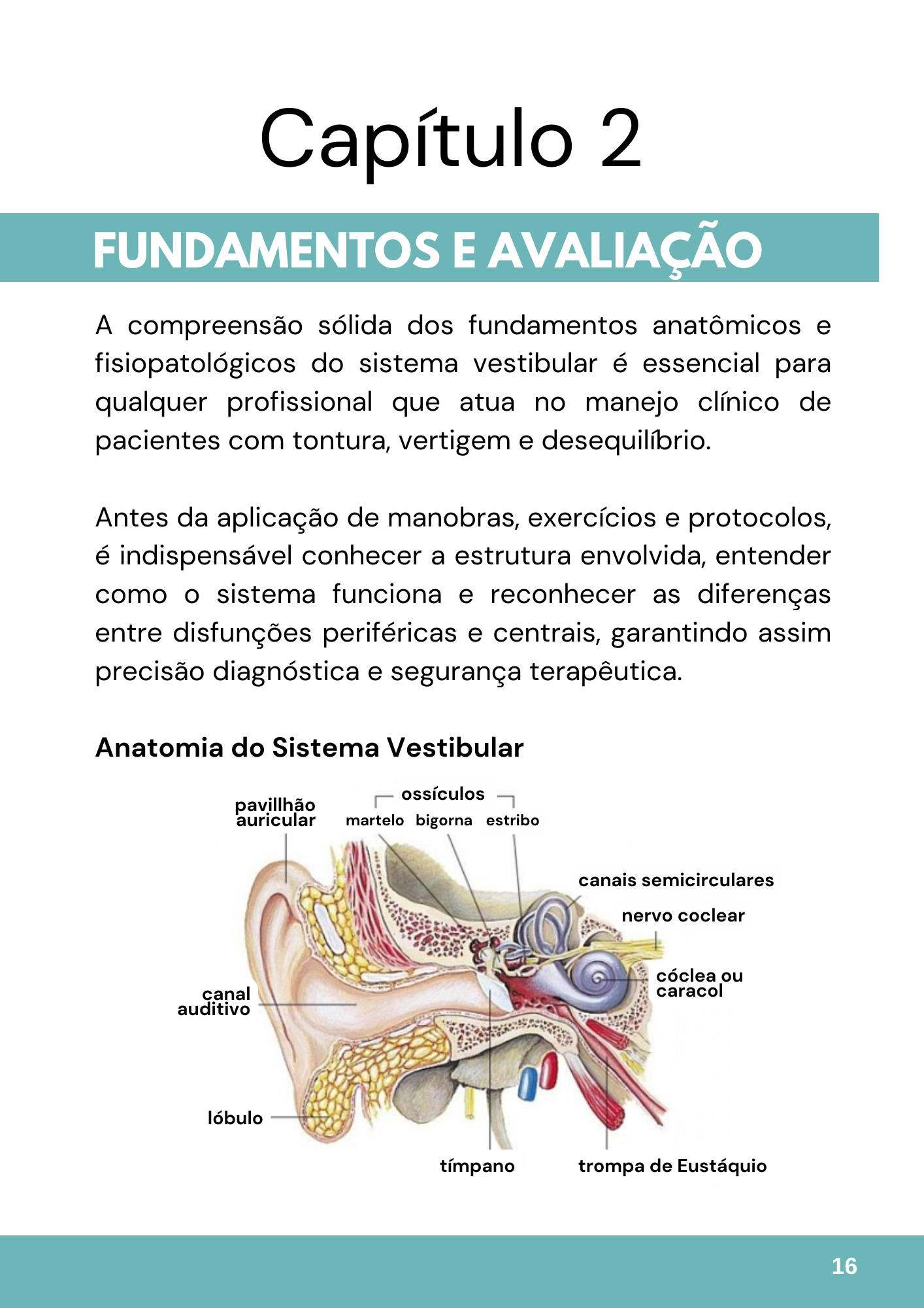 101-Exercicios-e-Protocolos-para-Labirintite-VPPB-1-1.png