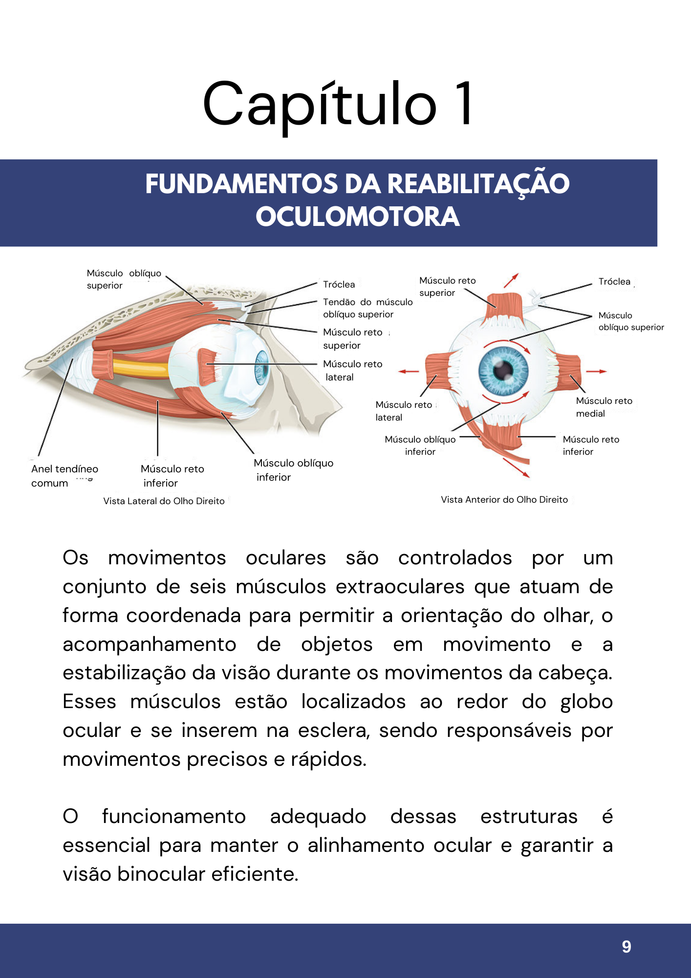 MANUAL-REABILITACAO-OCULAR-4.png