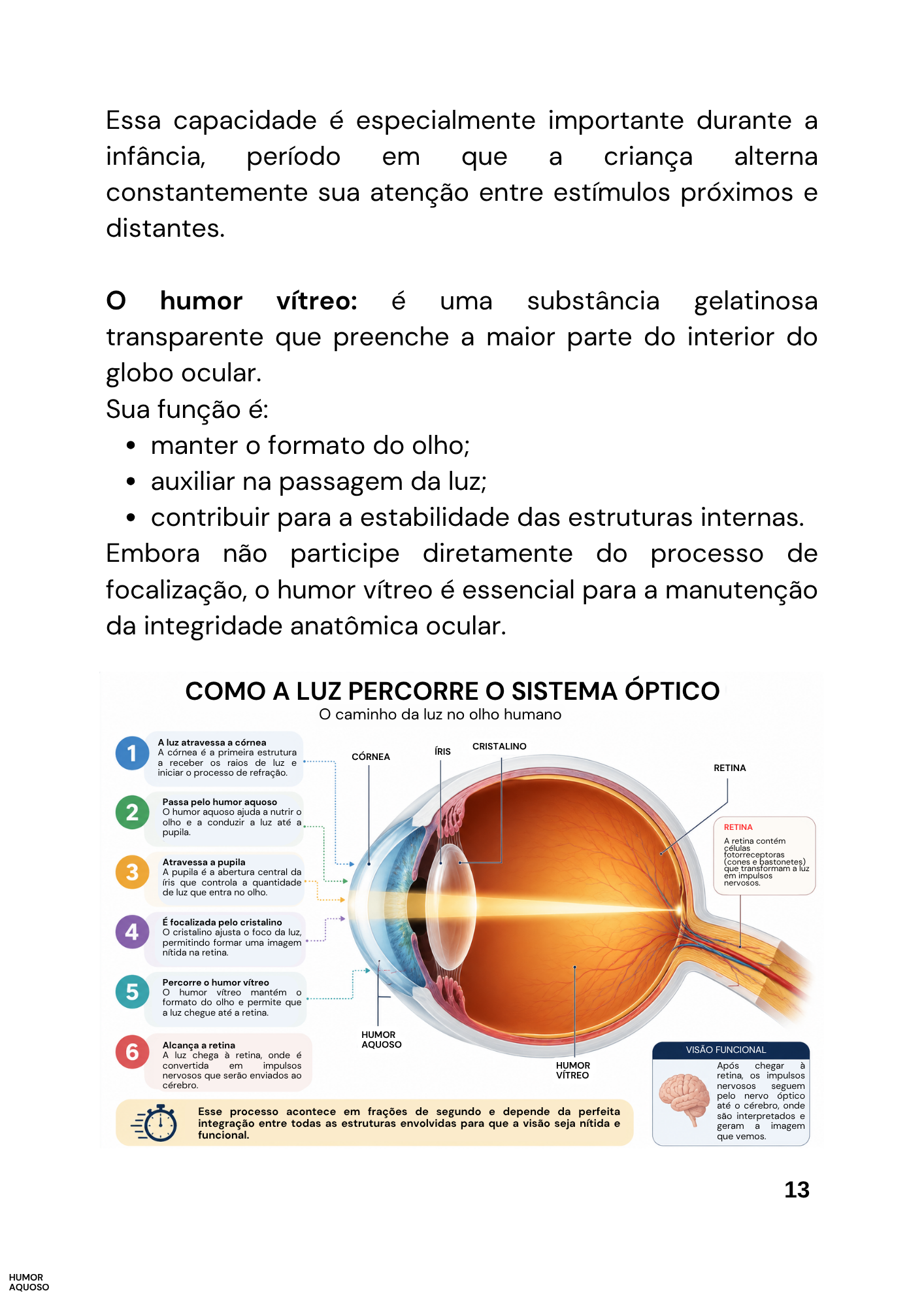 REABIALITACAO-OCULAR-INFANTIL-9.png